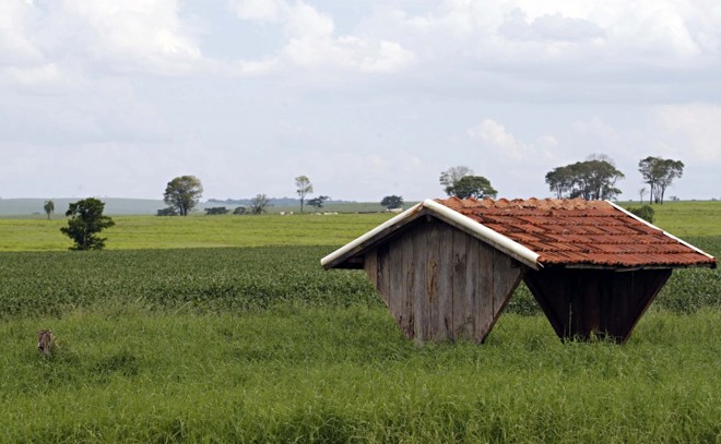 Cobertura para oferta de sal ao gado cercada por pasto e lavoura em Cidade Gaúcha, Noroeste do Paraná. | 