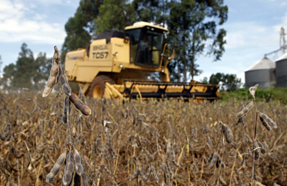 Colheita da soja em Dourados (MS): vendas de máquinas na região cresceram 20% em 2012. | Christian Rizzi/gazeta Do Povo