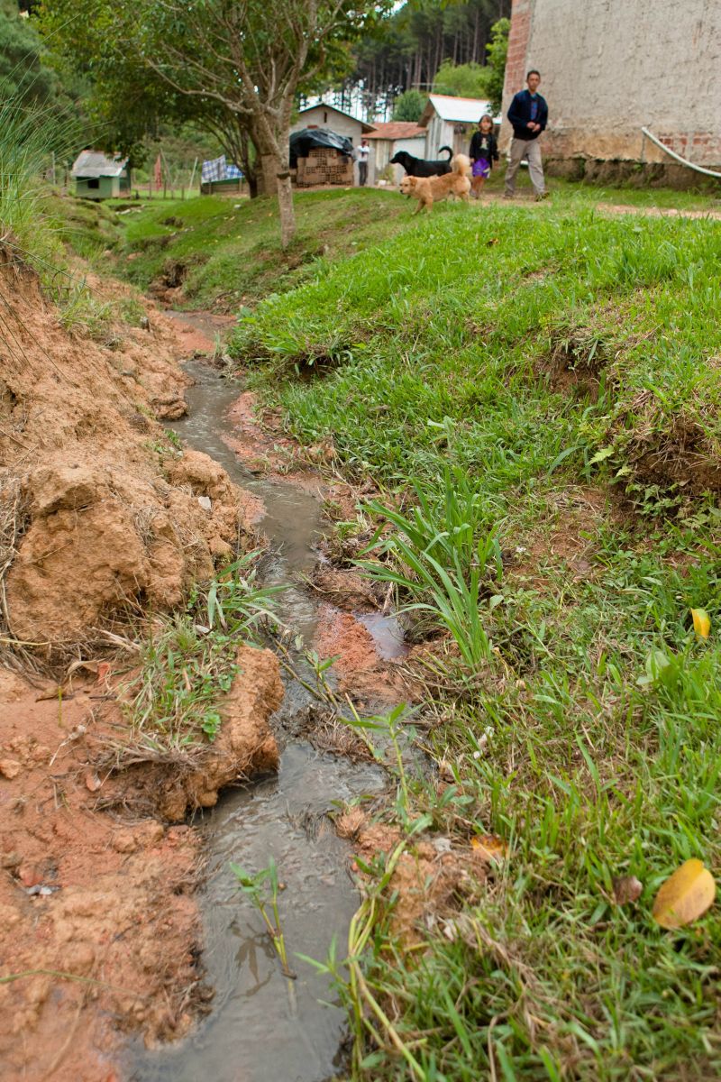 | Henry Milleo/Gazeta do Povo