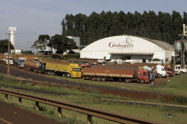 Fila de caminhões para descarregar milho na Globoaves: importação deve prosseguir até março | Cesar Machado/vale Press