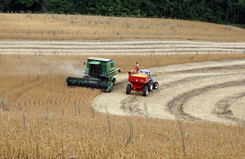 Colheita da safra de milho está adiantada em alguns municípios do estado, como Vitorino | Cristian Rizzi/ Gazeta Do Povo