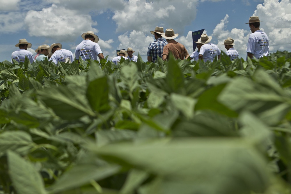 | Marcelo Andrade/gazeta Do Povo