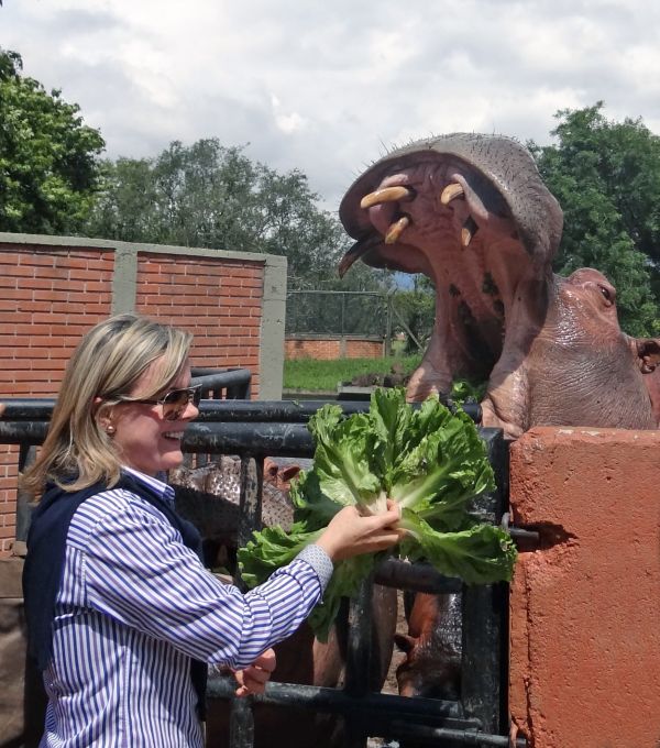 A ministra-chefe da Casa Civil, Gleisi Hoffmann, levou o casal de filhos pequenos ao zoológico de Curitiba no domingo de carnaval. Como qualquer visitante, não resistiu a alimentar um dos hipopótamos do parque, sem se intimidar com a bocarra do bicho | Divulgação/SMCS