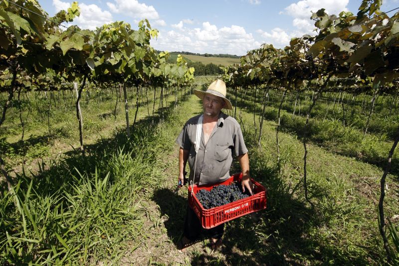 | Fotos: Henry Milléo/ Gazeta do Povo