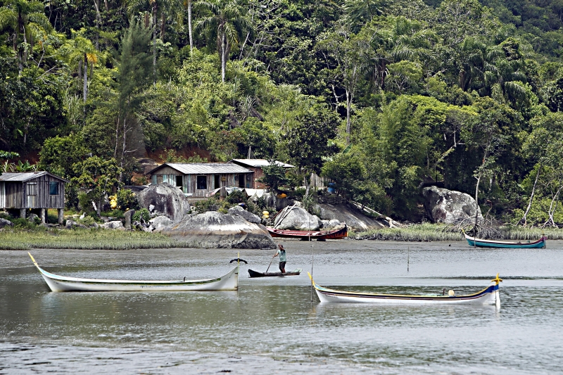 Barbados abriga uma simpática vila de pescadores, com fauna e flora intocadas | Albari Rosa/Gazeta do Povo