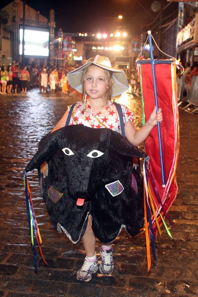 Blocos folclóricos desfilaram no segundo dia de folia em Antonina |