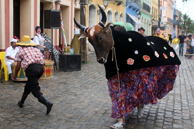 Grupo Mandicuera faz tradicional apresentação do Boi de Mamão em Paranaguá |