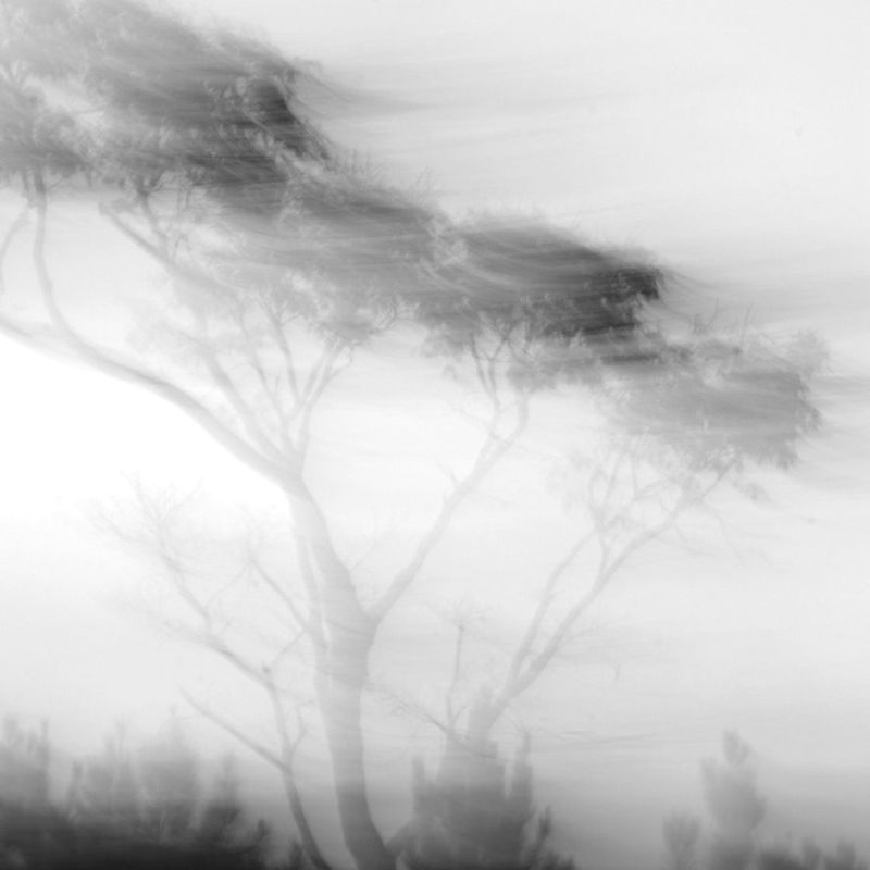 Imagens abstratas foram feitas pela fotógrafa Michelle Serena para vencer seu medo de carros e estradas | Michelle Serena/Divulgação