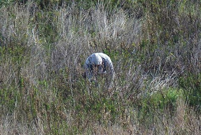 Cerca de 60 imagens estarão expostas no MuMa |