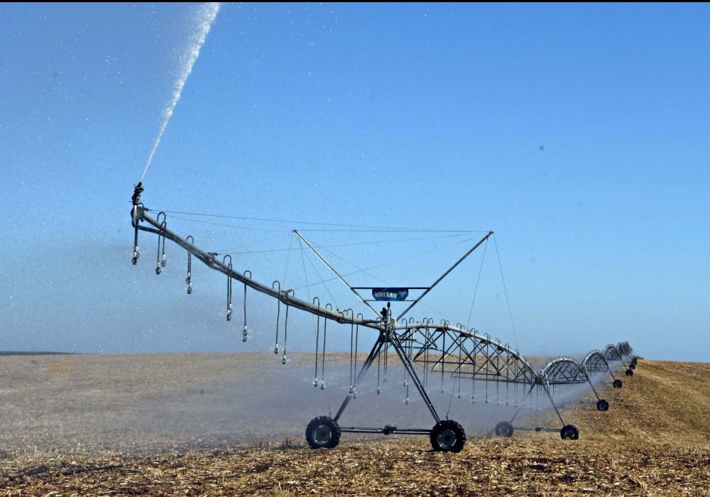 Área de feijão irrigado no Rio Grande do Sul: estiagem prejudicou a produção | Christian Rizzi / Gazeta Do Povo