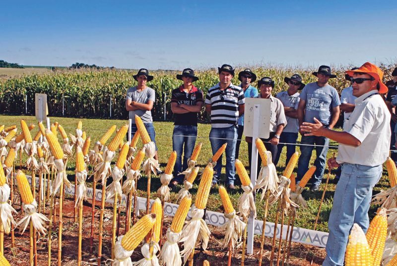 Prioridade técnica: no Dia de Campo da Coamo, que reuniu 4 mil agricultores, os expositores foram dispensados. Os agrônomos da Cooperativa selecionaram dez grupos de pesquisas e indicaram insumos e práticas sem privilegiar marcas, disse o diretor da Fazenda Experimental, Joaquim Mariano Costa. | 