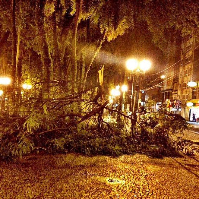 O temporal de ontem à noite derrubou galhos na Praça Osório, Centro da capital. A foto é da leitora Andrea Greca | 
