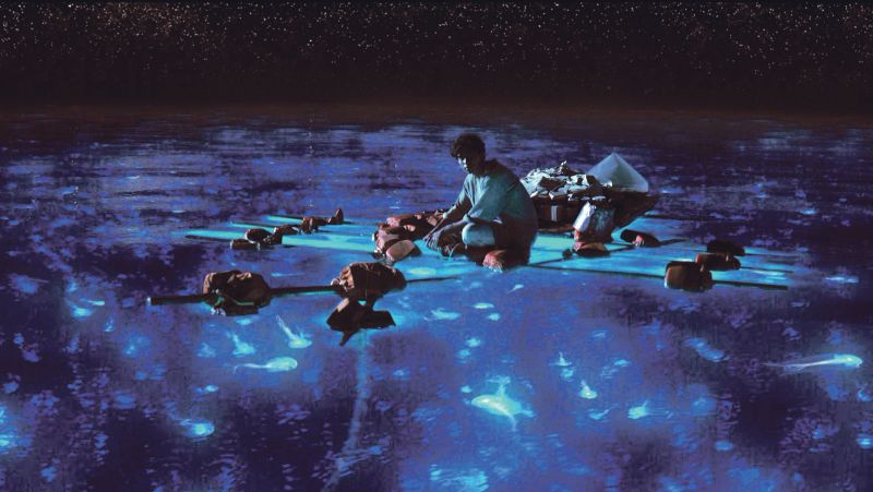 As Aventuras de Pi: filme de Ang Lee é o concorrente ao Oscar 2013 com a maior bilheteria já arrecadou US$ 549 milhões ao redor do mundo | Divulgação