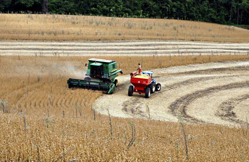 Colheita da safra de soja está adiantada em alguns municípios do estado, como Vitorino | Cristian Rizzi/ Gazeta do Povo
