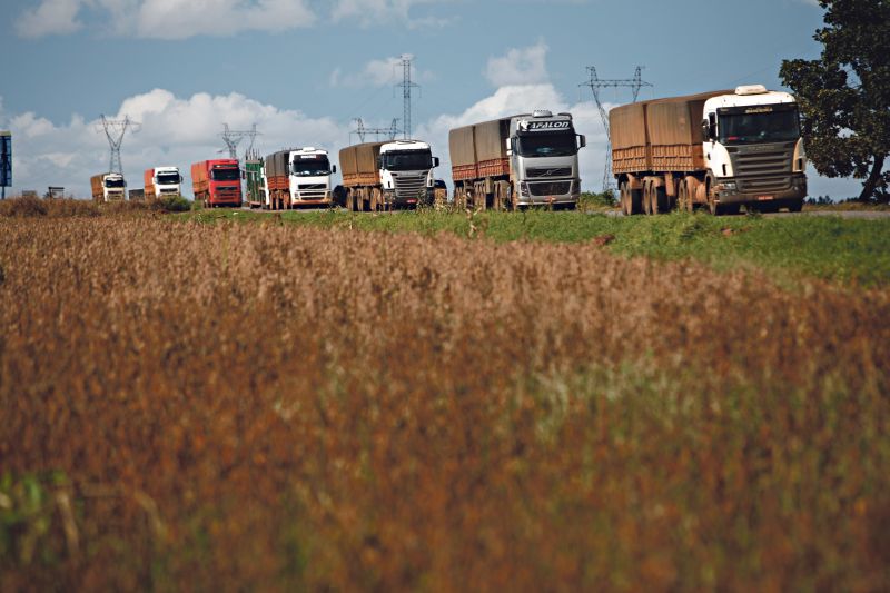 | Fotos: Jonathan Campos/ Gazeta Do Povo