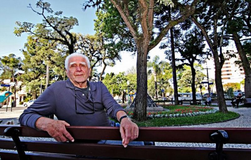 Alta: Raiz tem 83 anos | André Rodrigues/ Gazeta do Povo