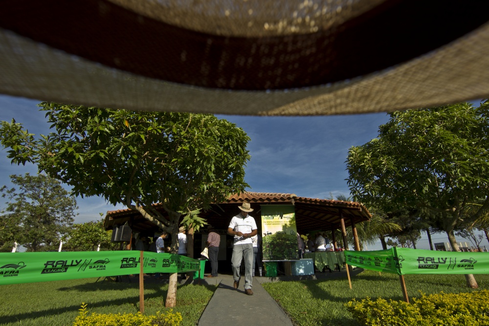 | Marcelo Andrade/gazeta Do Povo