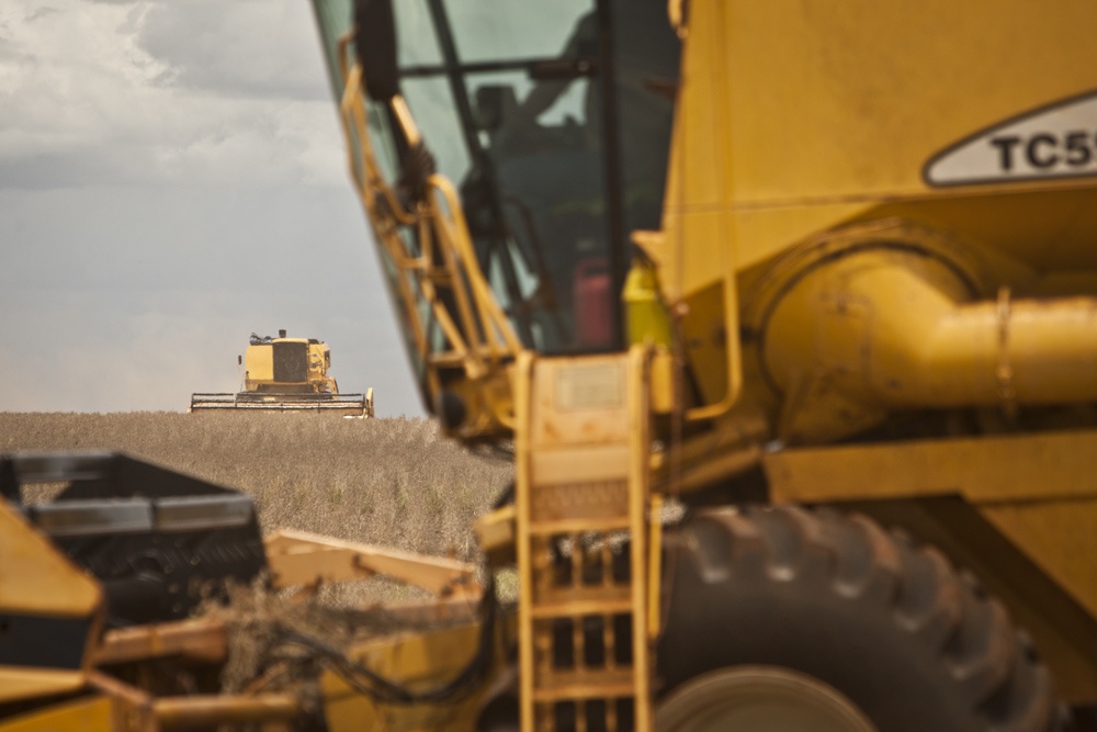 Máquinas trabalham a todo vapor em Rio Verde para tirar o atraso na colheita de verão. | Marcelo Andrade / Gazeta Do Povo