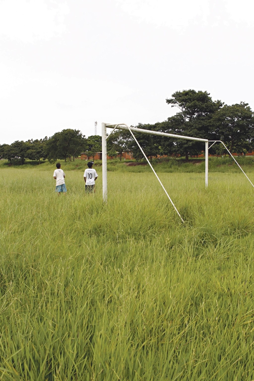 "Fábrica de revelações", Matsubara agoniza no abandono