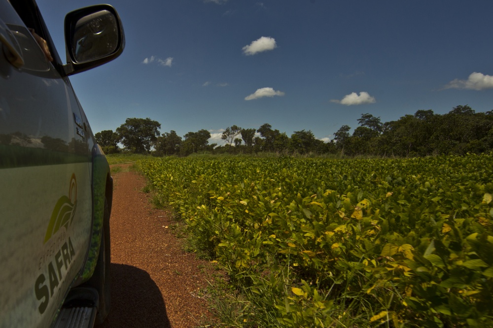 Expedição Safra: equipes vão a campo conferir andamento da colheita. | Marcelo Andrade / Gazeta Do Povo