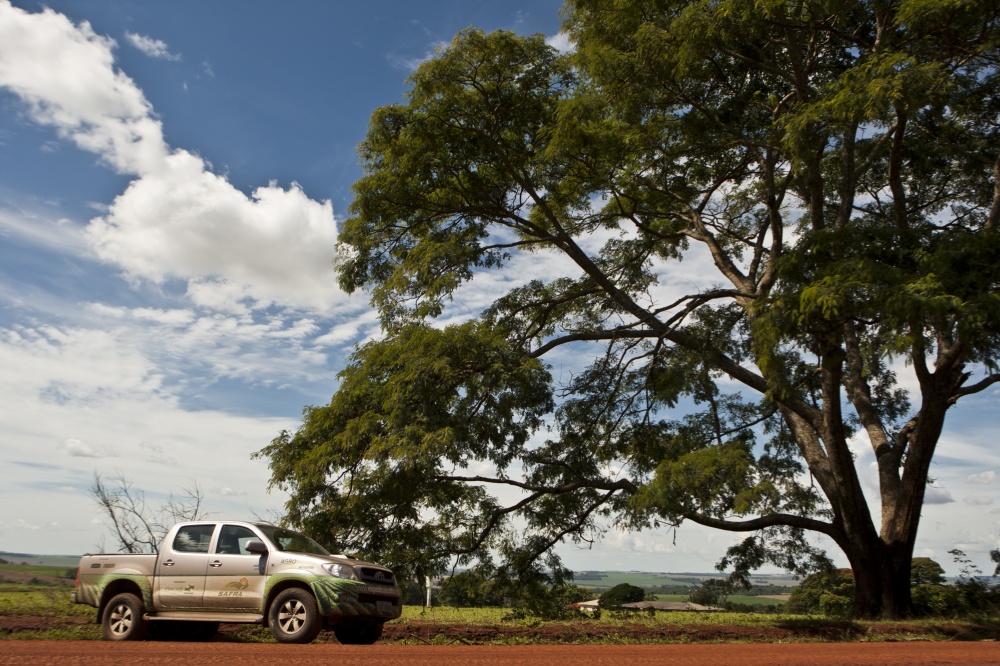 Expedição Safra: equipes conferem progresso da colheita nas principais regiões produtoras | Marcelo Andrade / Gazeta Do Povo