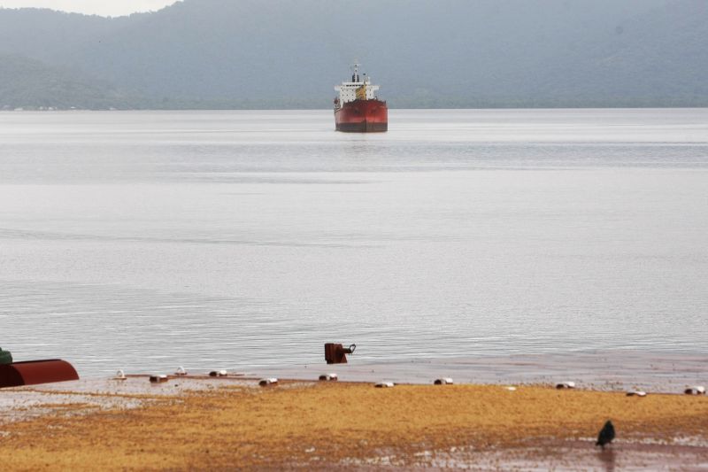 Navio à espera da vez para atracar em Paranaguá: demora levou trading chinesa a cancelar compra de 2 milhões de toneladas de soja | Henry Milleo/ Gazeta do Povo