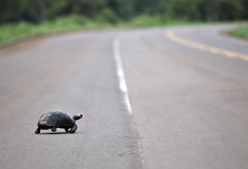 Planos de concessão de infraestrutura avançam devagar, e regras confusas têm inibido investidores | Jonathan Campos/Gazeta do Povo