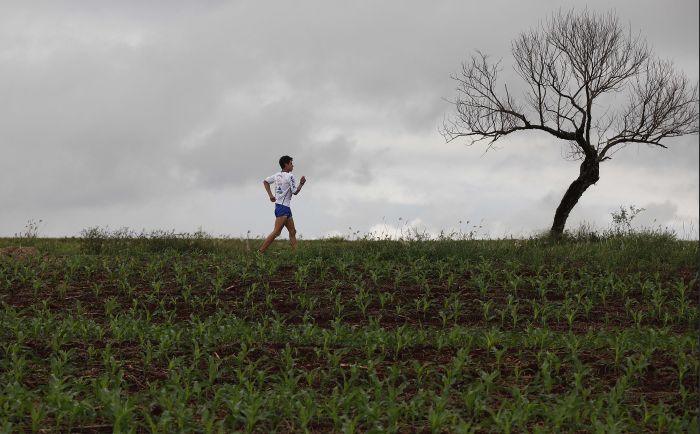 Bruno, 18 anos, treina próximo a uma plantação de milho em Campo Mourão. Jovem é campeão brasileiro de corrida de marcha atlética | Jonathan Campos / Gazeta do Povo