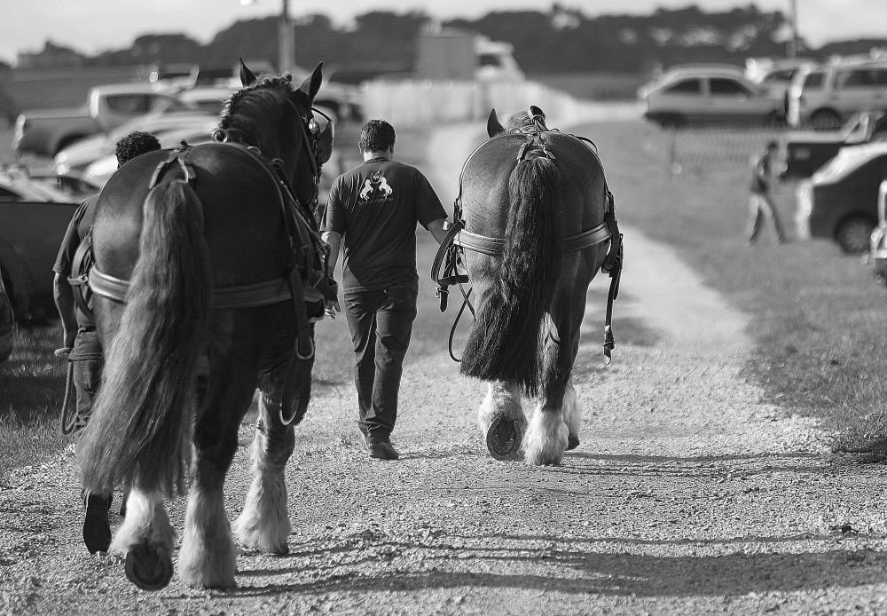 Segundo a organização, mais de mil pessoas participaram do remate. |