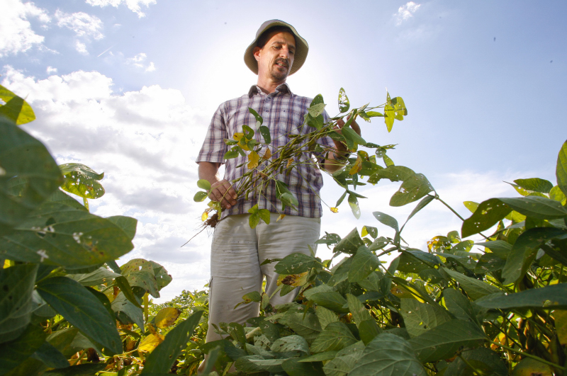 | Foto: Hugo Harada/gazeta Do Povo