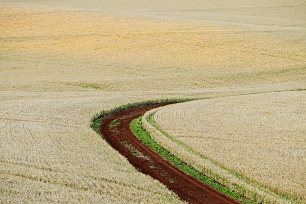 Governo anuncia liberação de R$ 90 milhões para subvencionar o prêmio do seguro rural. | Albari Rosa / Gazeta Do Povo