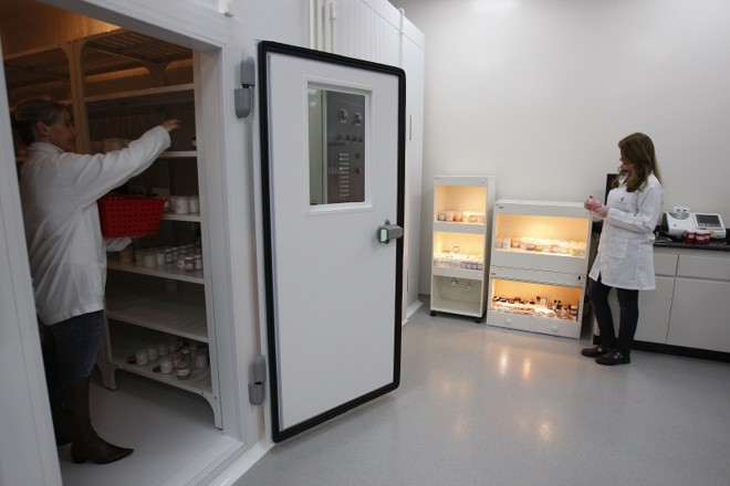 No laboratório de estabilidade, pesquisadores avaliam como os perfumes e cosméticos reagem a mudanças de temperatura e umidade, por exemplo | 