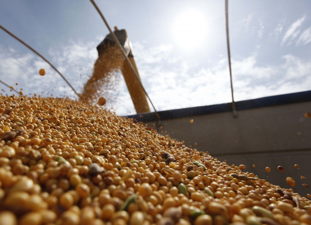 Mesmo com seca em algumas regiões, estimativa de produção de soja foi elevada no Sul do país. | Jonathan Campos / Gazeta Do Povo