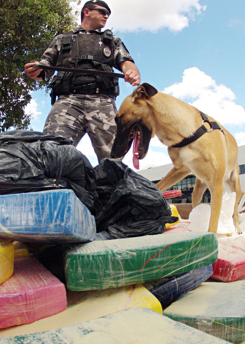 | Christian Rizzi/Gazeta do Povo
