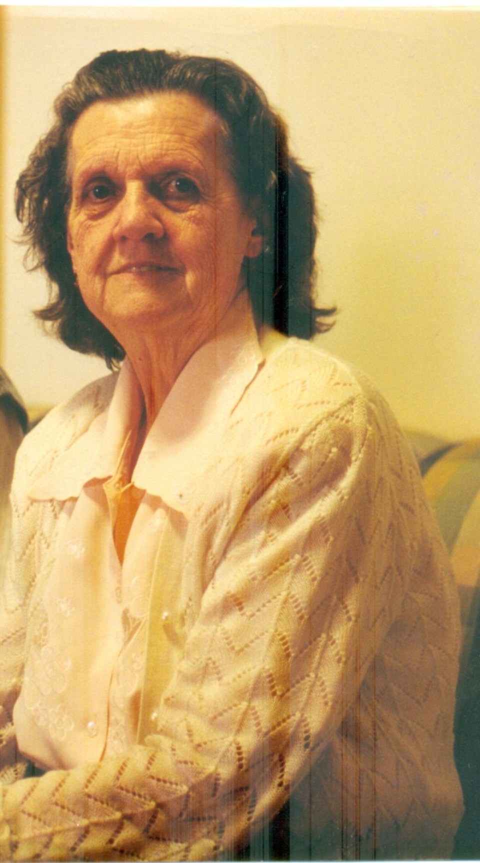  | Arquivo da família