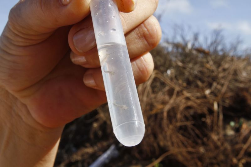 Número de casos aumentou 33% no estado em uma semana | Roberto Custódio/ Gazeta do Povo