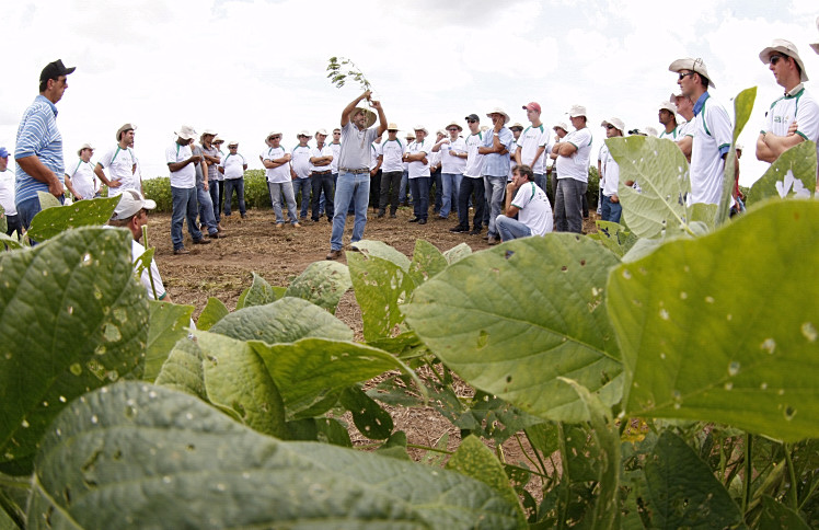 O professor Gustavo Pasetti, da Universidade de Rio Verde, detalha fisiologia das plantas a produtores do Maranhão e do Piauí. Em ano de clima irregular, raízes definem produtividade. | Hugo Harada/gazeta Do Povo