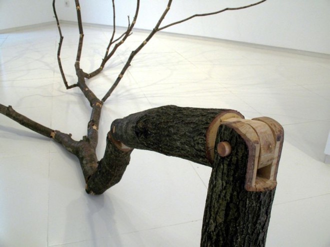 Em Cima da Terra e Debaixo do Céu retrata uma