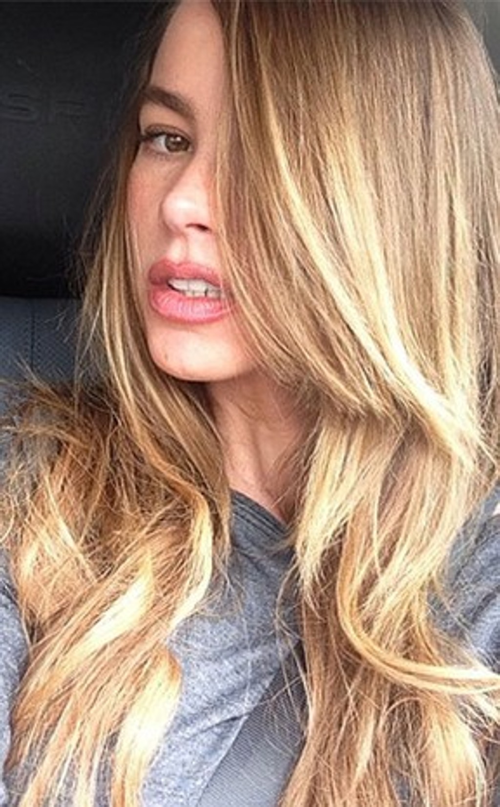 Sofia Vergara está loura