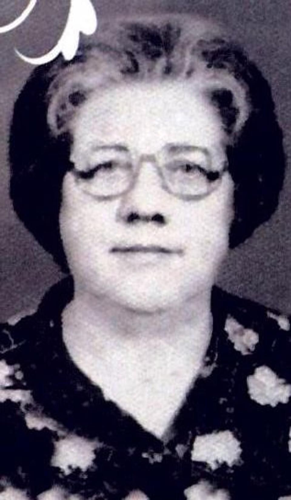 O puro sabor da vida | Arquivo da família