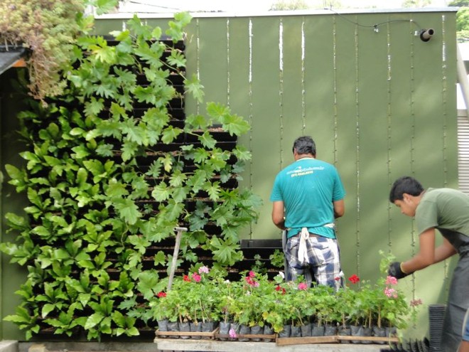 Fachada também pode receber plantas para reduzir o calor |