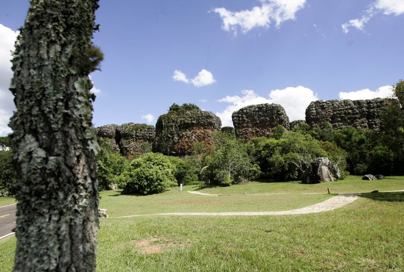 Plano de manejo prevê ainda cicloturismo e observação de aves | Josué Teixeira/Gazeta do Povo