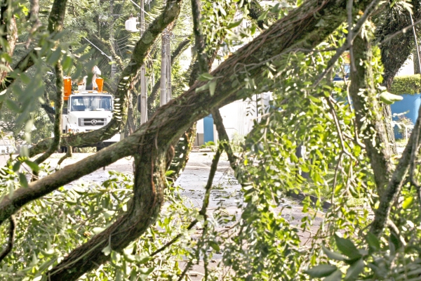 | Hugo Harada/ Gazeta do Povo