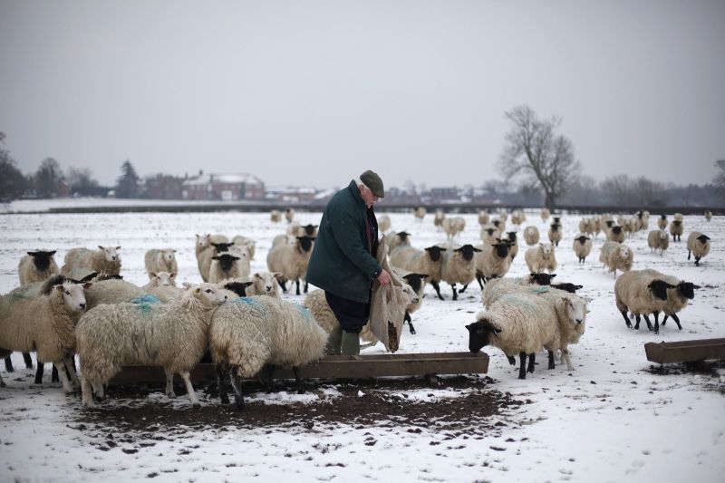  | REUTERS/Darren Staples