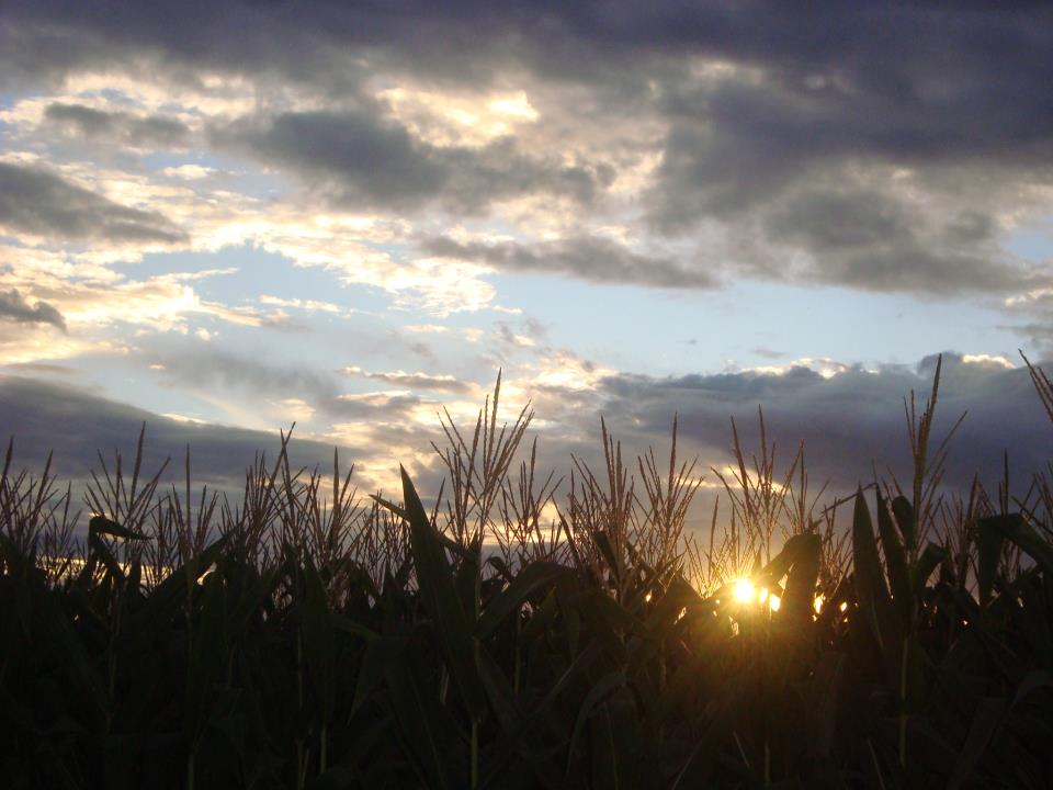 | Jonathan Campos/gazeta Do Povo