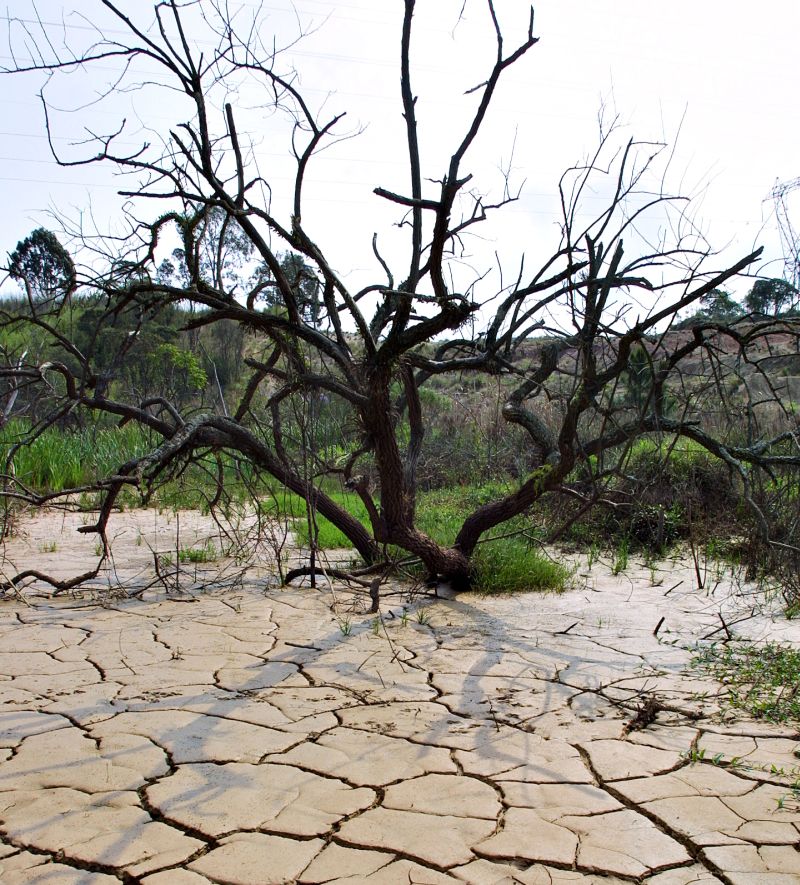Seca atingiu 156 cidades e 1,5 milhão de pessoas: Paraná ainda aguarda R$ 10 milhões prometidos pelo governo federal | Jonathan Campos/ Gazeta do Povo