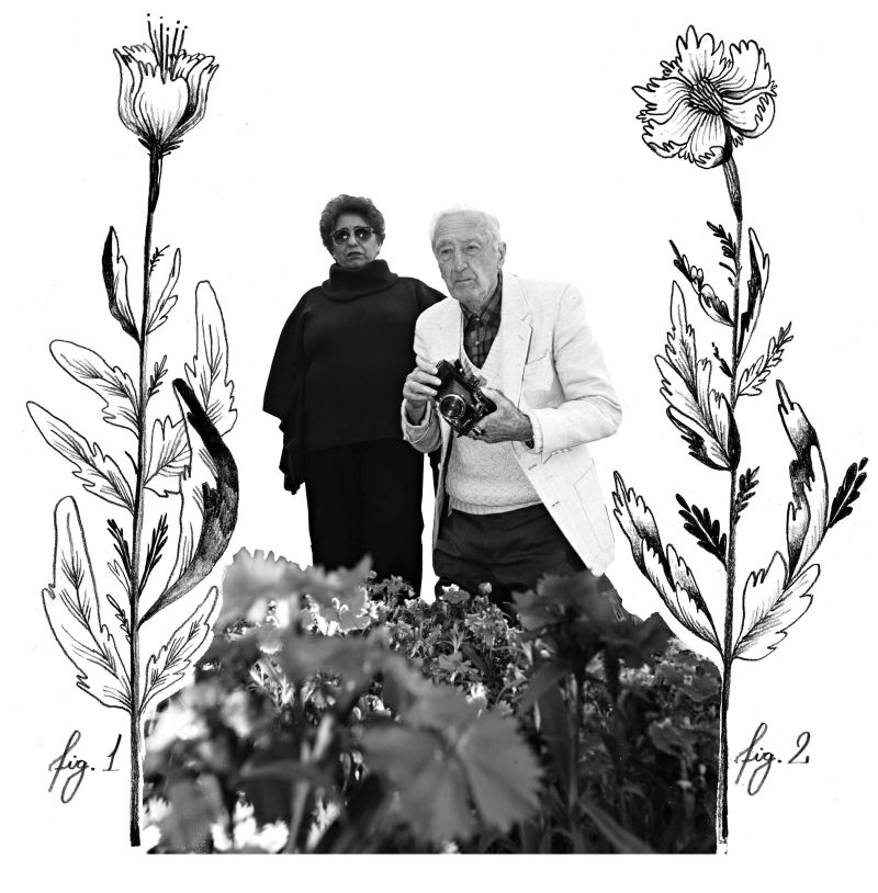 | Foto: Ivonaldo Alexandre Arte: Felipe Lima