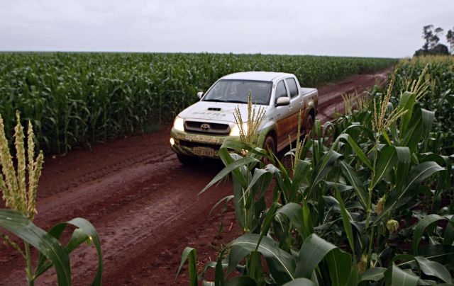 | Christian Rizzi/gazeta Do Povo