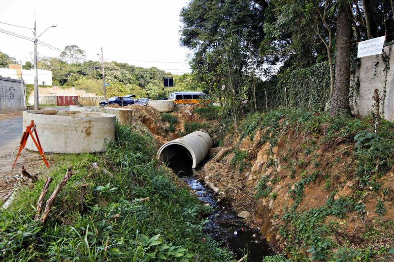 | Daniel Castellano/ Gazeta do Povo