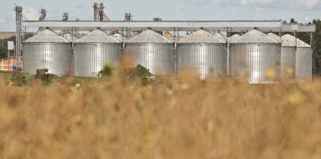 Safras de verão e inverno deste ano sobrecarregaram silos em todo o país. | Marcelo Andrade / Gazeta Do Povo